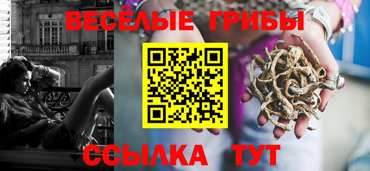 Псилоцибиновые грибы Psilocybine cubensis Белая Калитва